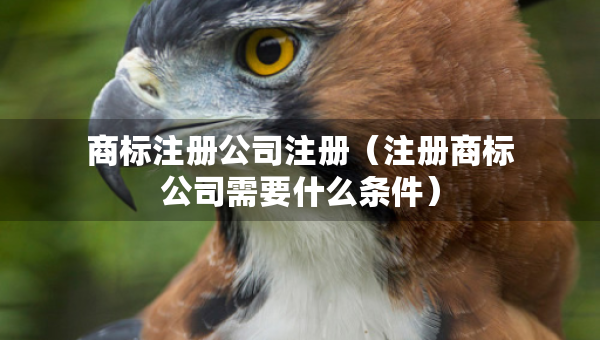 商標(biāo)注冊公司注冊（注冊商標(biāo)公司需要什么條件）