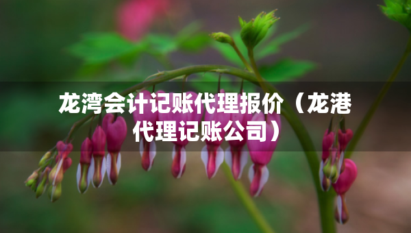 龍灣會計記賬代理報價（龍港代理記賬公司）