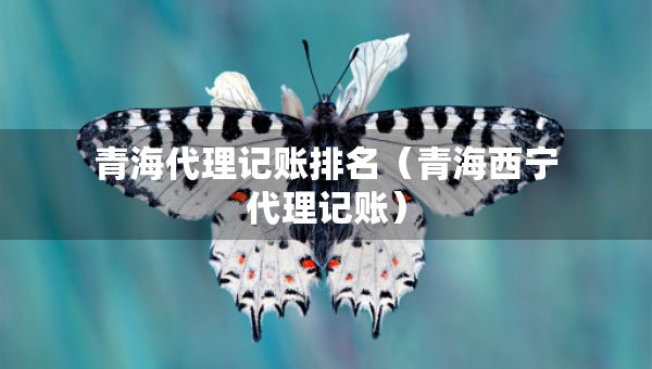 青海代理記賬排名（青海西寧代理記賬）