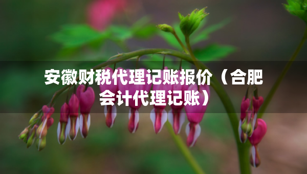 安徽財稅代理記賬報價（合肥會計代理記賬）