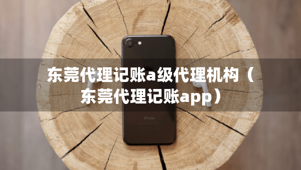 東莞代理記賬a級代理機構(gòu)（東莞代理記賬app）