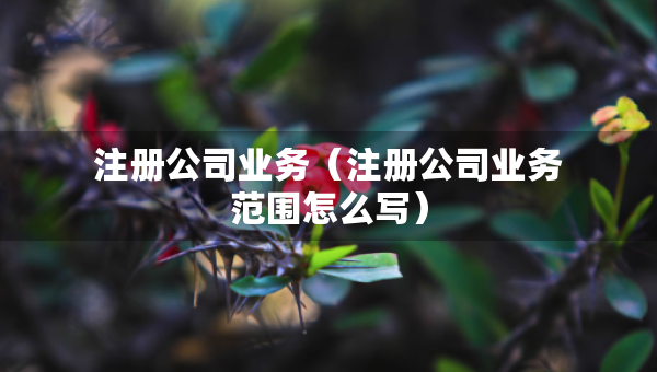 注冊公司業(yè)務(wù)（注冊公司業(yè)務(wù)范圍怎么寫）