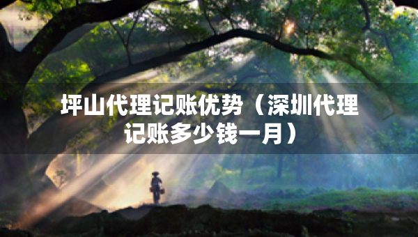 坪山代理記賬優(yōu)勢(shì)（深圳代理記賬多少錢(qián)一月）