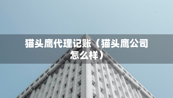貓頭鷹代理記賬（貓頭鷹公司怎么樣）