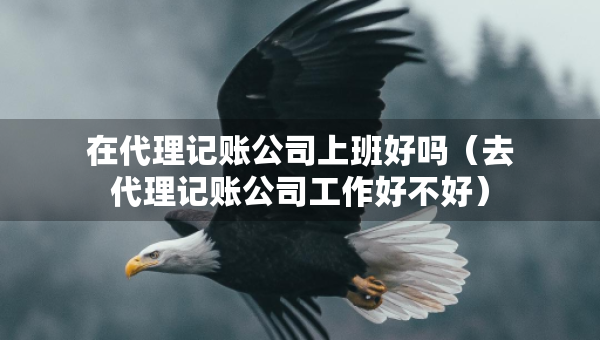 在代理記賬公司上班好嗎（去代理記賬公司工作好不好）