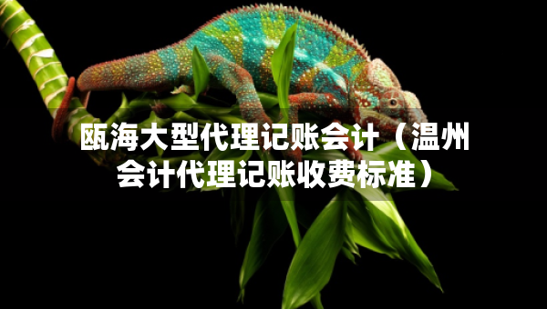 甌海大型代理記賬會(huì)計(jì)（溫州會(huì)計(jì)代理記賬收費(fèi)標(biāo)準(zhǔn)）