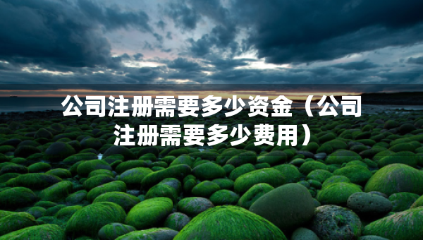 公司注冊需要多少資金（公司注冊需要多少費(fèi)用）