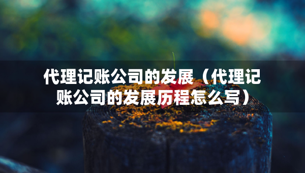 代理記賬公司的發(fā)展（代理記賬公司的發(fā)展歷程怎么寫）