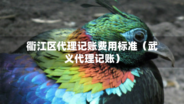 衢江區(qū)代理記賬費用標準（武義代理記賬）
