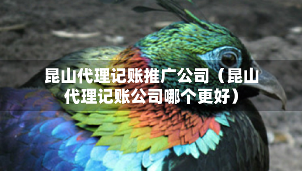 昆山代理記賬推廣公司（昆山代理記賬公司哪個更好）