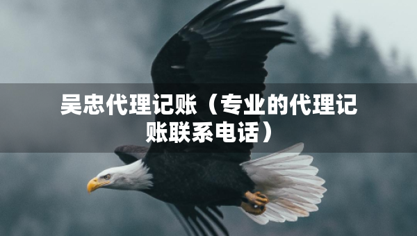 吳忠代理記賬（專業(yè)的代理記賬聯(lián)系電話）