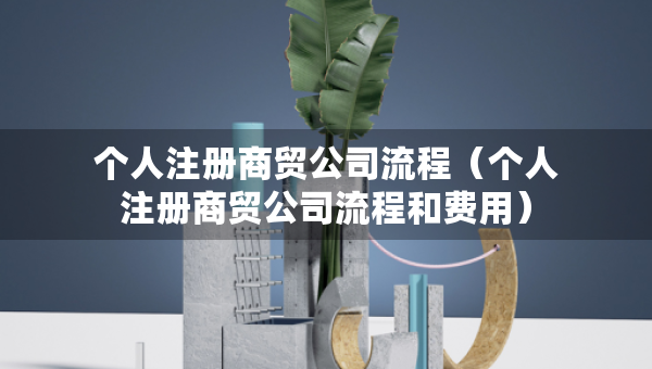個人注冊商貿公司流程（個人注冊商貿公司流程和費用）