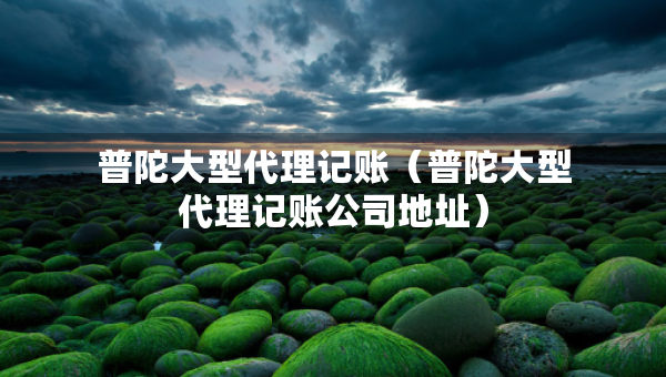 普陀大型代理記賬（普陀大型代理記賬公司地址）