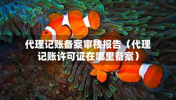 代理記賬備案審核報(bào)告（代理記賬許可證在哪里備案）