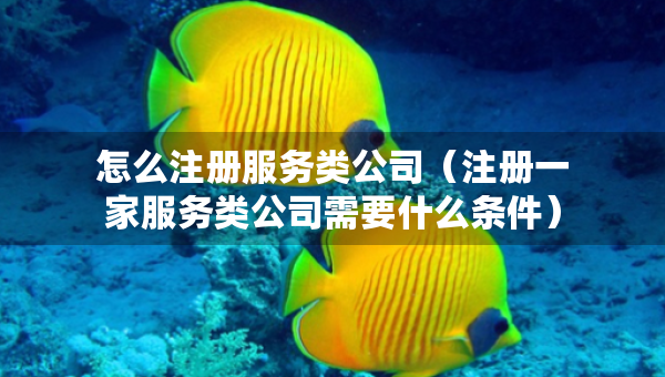 怎么注冊服務(wù)類公司（注冊一家服務(wù)類公司需要什么條件）