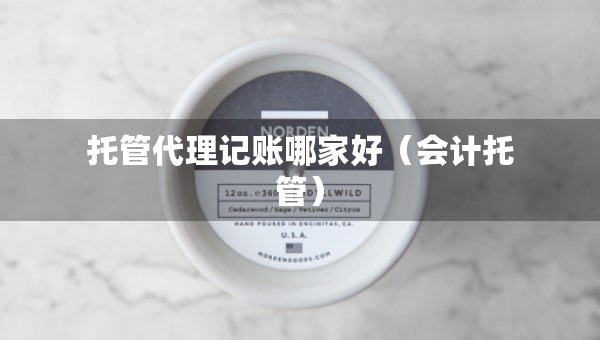 托管代理記賬哪家好（會計托管）