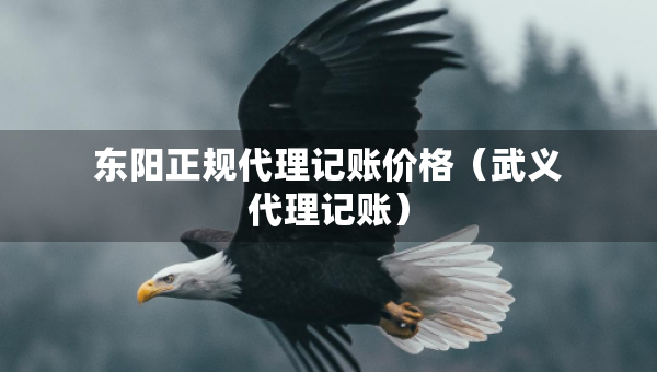 東陽正規(guī)代理記賬價格（武義代理記賬）