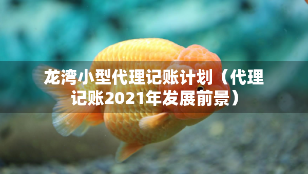 龍灣小型代理記賬計(jì)劃（代理記賬2021年發(fā)展前景）