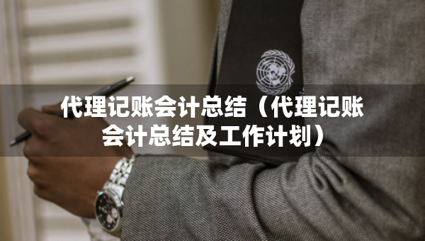 代理記賬會計總結(jié)（代理記賬會計總結(jié)及工作計劃）