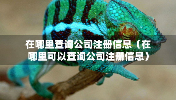 在哪里查詢公司注冊(cè)信息（在哪里可以查詢公司注冊(cè)信息）