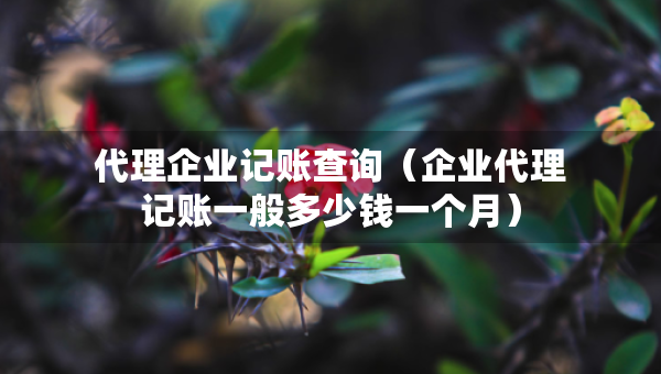 代理企業(yè)記賬查詢（企業(yè)代理記賬一般多少錢一個(gè)月）