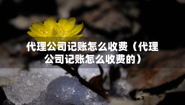 代理公司記賬怎么收費(fèi)（代理公司記賬怎么收費(fèi)的）