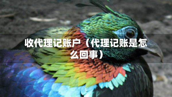 收代理記賬戶（代理記賬是怎么回事）