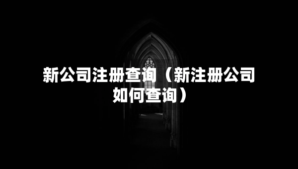 新公司注冊(cè)查詢（新注冊(cè)公司如何查詢）