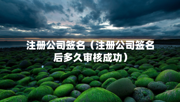 注冊(cè)公司簽名（注冊(cè)公司簽名后多久審核成功）