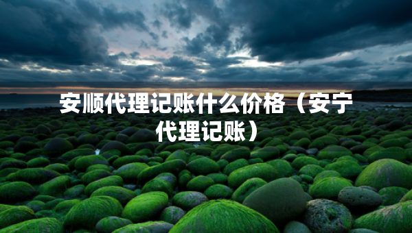 安順代理記賬什么價格（安寧代理記賬）