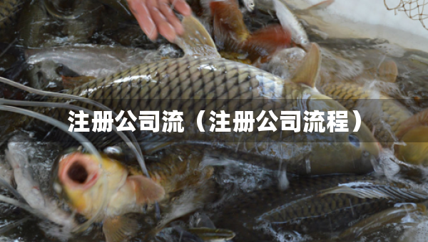 注冊公司流（注冊公司流程）
