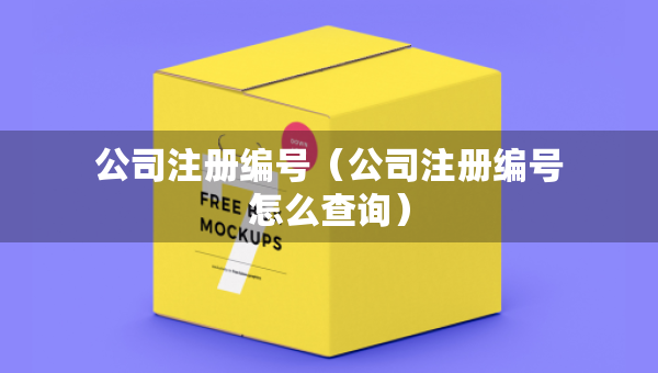 公司注冊(cè)編號(hào)（公司注冊(cè)編號(hào)怎么查詢）