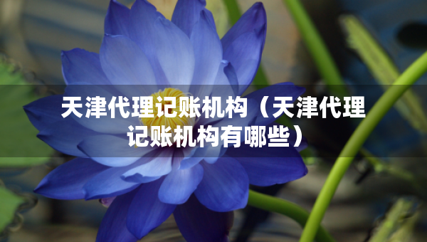 天津代理記賬機(jī)構(gòu)（天津代理記賬機(jī)構(gòu)有哪些）
