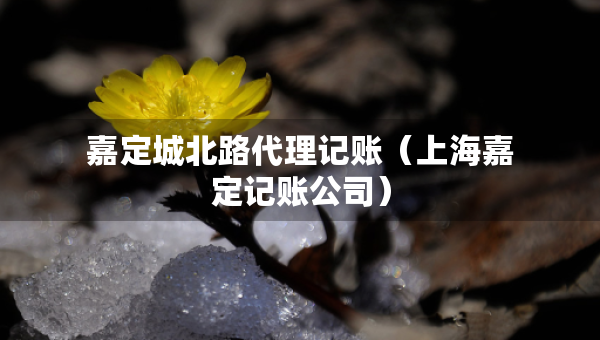 嘉定城北路代理記賬（上海嘉定記賬公司）