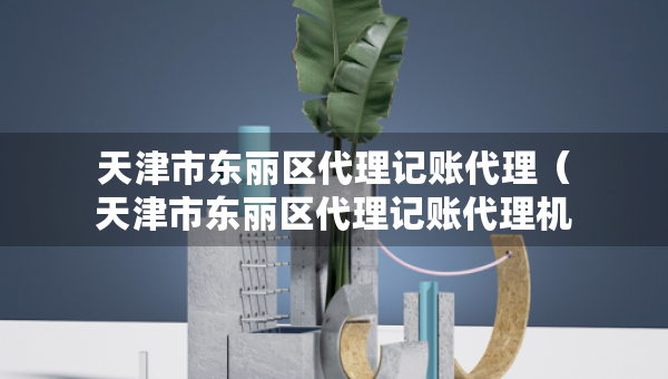 天津市東麗區(qū)代理記賬代理（天津市東麗區(qū)代理記賬代理機(jī)構(gòu)）