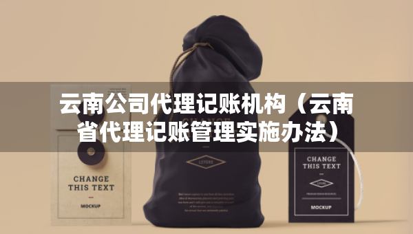 云南公司代理記賬機構(gòu)（云南省代理記賬管理實施辦法）