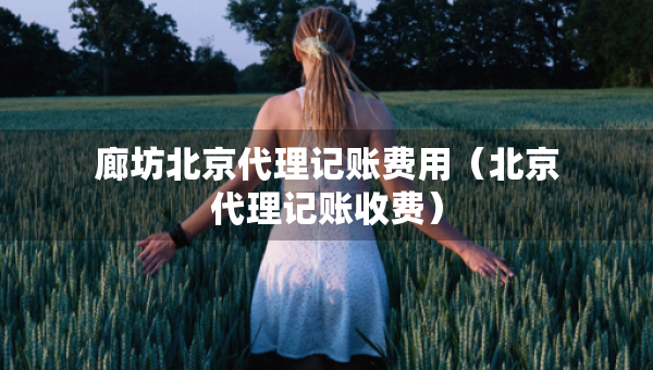 廊坊北京代理記賬費(fèi)用（北京代理記賬收費(fèi)）