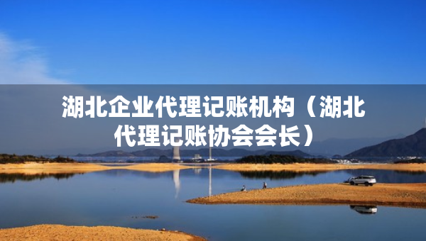 湖北企業(yè)代理記賬機(jī)構(gòu)（湖北代理記賬協(xié)會(huì)會(huì)長(zhǎng)）