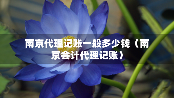 南京代理記賬一般多少錢(qián)（南京會(huì)計(jì)代理記賬）