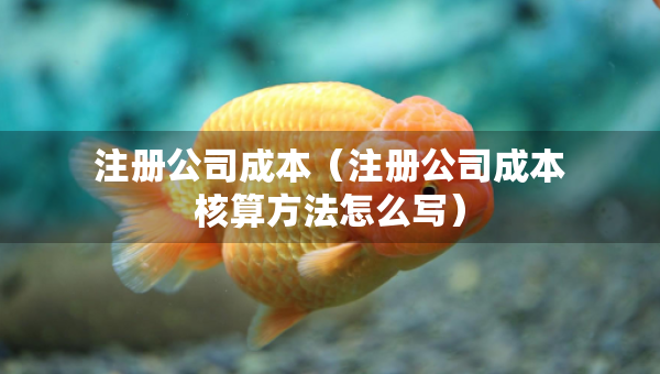 注冊公司成本（注冊公司成本核算方法怎么寫）