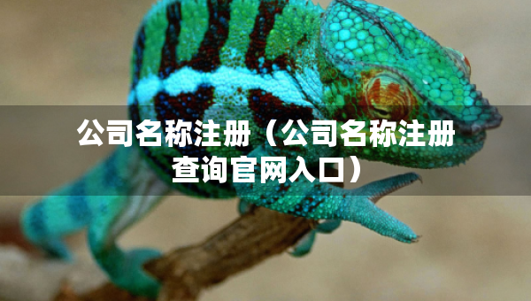 公司名稱注冊（公司名稱注冊查詢官網(wǎng)入口）