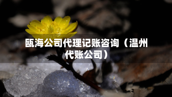 甌海公司代理記賬咨詢（溫州代賬公司）