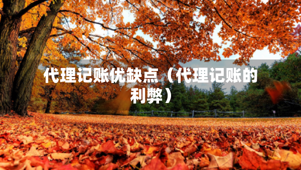 代理記賬優(yōu)缺點（代理記賬的利弊）