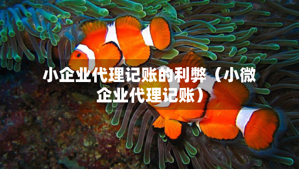小企業(yè)代理記賬的利弊（小微企業(yè)代理記賬）