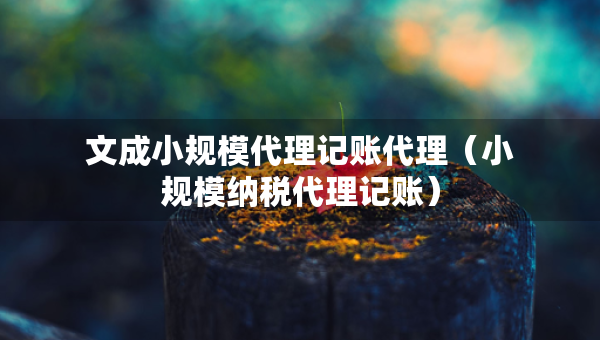 文成小規(guī)模代理記賬代理（小規(guī)模納稅代理記賬）