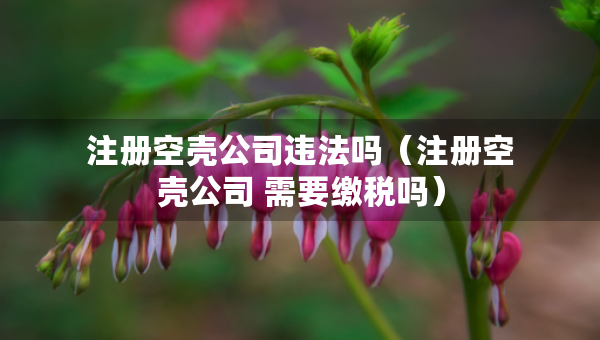 注冊空殼公司違法嗎（注冊空殼公司 需要繳稅嗎）