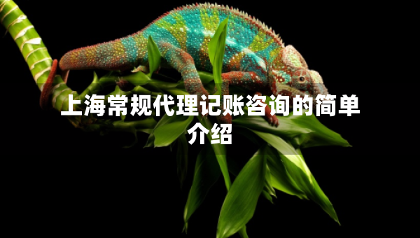 上海常規(guī)代理記賬咨詢的簡單介紹