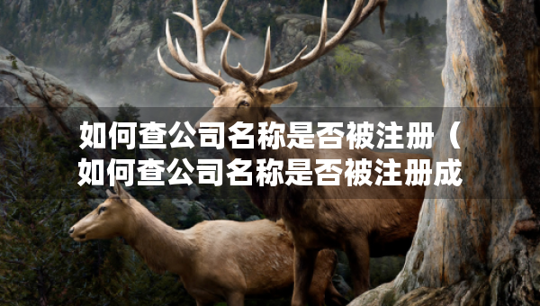 如何查公司名稱是否被注冊（如何查公司名稱是否被注冊成功）