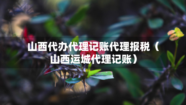 山西代辦代理記賬代理報稅（山西運城代理記賬）