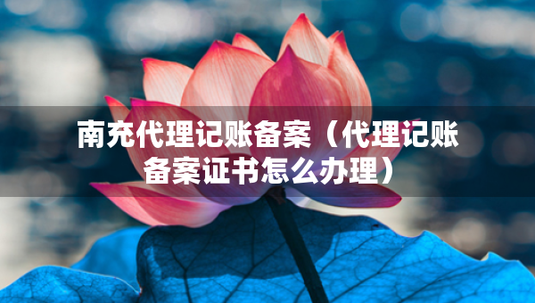南充代理記賬備案（代理記賬備案證書怎么辦理）